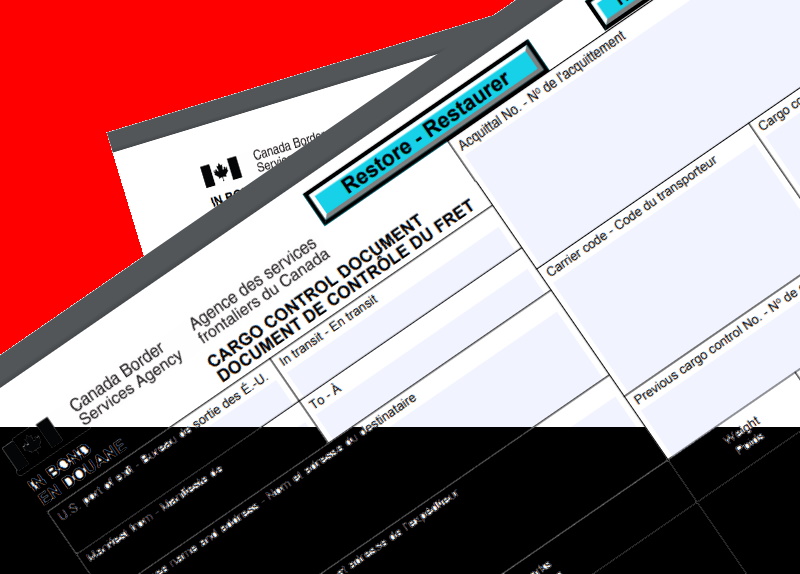 custom documents export import